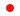 JAPANESE
